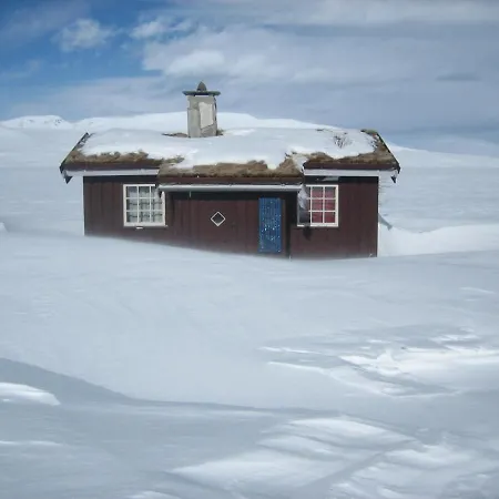 Holmen Pa Vinstervann *
